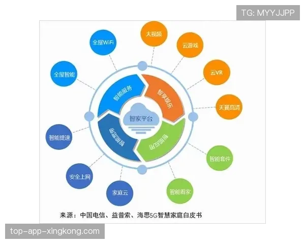 联赛中场表演IP化的商业化运营建议